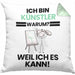 Künstler Geschenk Kissen mit Füllung 40x40 Lustiger Spruch Ich Bin Künstler Warum Weil Ich Es Kann Geschenkidee Bester Künstler Geburtstag (Grau) Grün Trendation