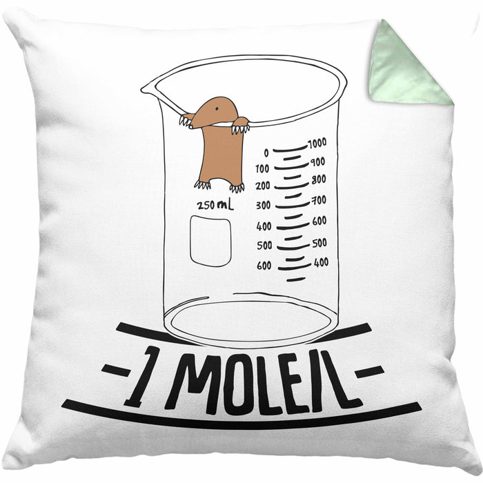 Chemiker Kissen mit Füllung 40x40 Lustiger Maulwurf Mole Per Liter Chemie Avogadro's Chemiker Kissen mit Füllung 40x40 (Grau) Grün Trendation