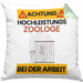 Zoologe Kissen mit Füllung 40x40 Geschenk Lustiger Spruch Geschenkidee für Zoologe Achtung Hochleistungs Zoologe Bei Der Arbeit (Grau) Grün Trendation
