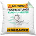 Kung-Fu-Meister Kissen mit Füllung 40x40 Geschenk Lustiger Spruch Geschenkidee für Kung-Fu-Meister Achtung Hochleistungs Kung-Fu-Meister Bei Der Arbeit (Grau) Grün Trendation