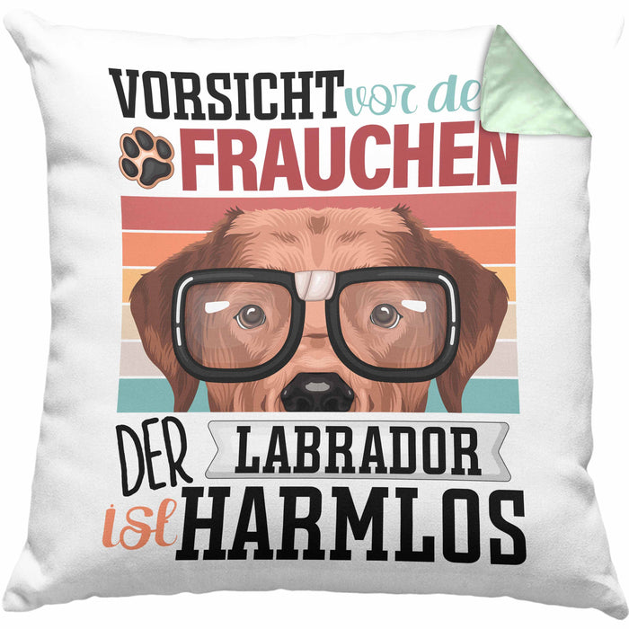 Labrador Besitzerin Frauchen Kissen mit Füllung 40x40 Geschenk Lustiger Spruch Geschenkidee Vorsicht Vor Dem Frauchen (Grau) Grün Trendation