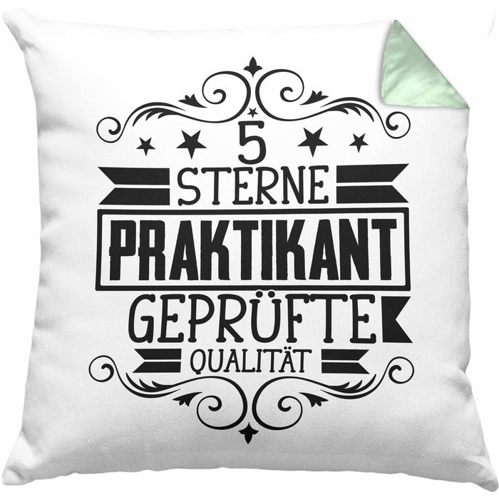 Praktikant Kissen mit Füllung 40x40 Geschenk Lustiger Spruch 5 Sterne Praktikant Geprüfte Qualiät (Grau) Grün Trendation