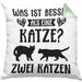 Katze Spruch Kissen mit Füllung 40x40 Lustig Geschenk Cat Kaffee Grafik Katzenliebhaber Geschenke Katzen (Grau) Grün Trendation