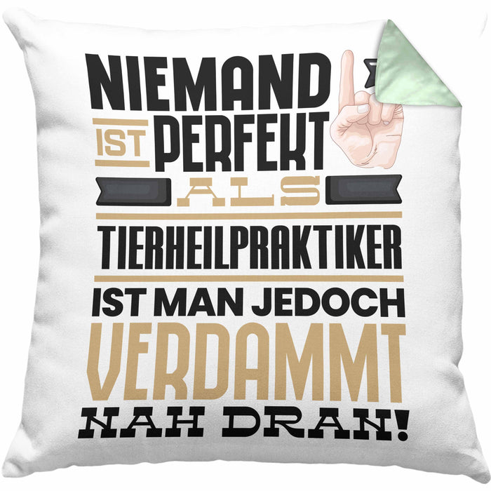 Tierheilpraktiker Geschenk Kissen mit Füllung 40x40 Lustige Geschenkidee für Tierheilpraktiker Geburtstag Niemand Ist Perfekt Aber Als Tierheilpraktiker Ist Man Nah Dran (Grau) Grün Trendation