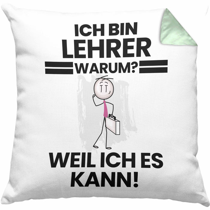 Lehrer Geschenk Kissen mit Füllung 40x40 Lustiger Spruch Ich Bin Lehrer Warum Weil Ich Es Kann Geschenkidee Bester Lehrer Geburtstag (Grau) Grün Trendation