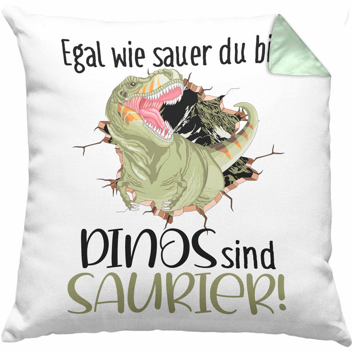Dinosaurier Spruch Kissen mit Füllung 40x40 Geschenk Jungs Jungen Egal Wie Sauer Du Bist Dinos Sind Saurier (Grau) Grün Trendation