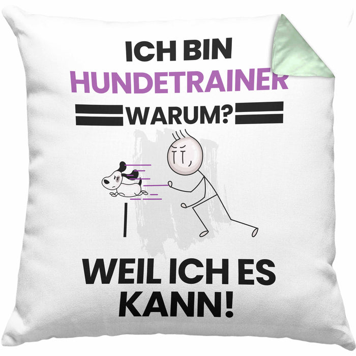 Hundetrainer Geschenk Kissen mit Füllung 40x40 Lustiger Spruch Ich Bin Hundetrainer Warum Weil Ich Es Kann Geschenkidee Bester Hundetrainer Geburtstag (Grau) Grün Trendation