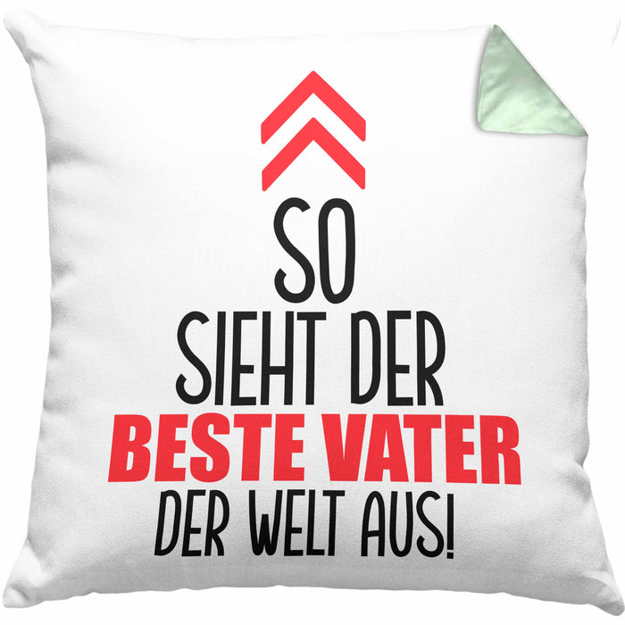 Vater Kissen mit Füllung 40x40 Geschenk Lustiger Spruch So Sieht Der Beste Papa Der Welt Aus Geschenkidee Geburtstag Vatertag (Grau) Grün Trendation