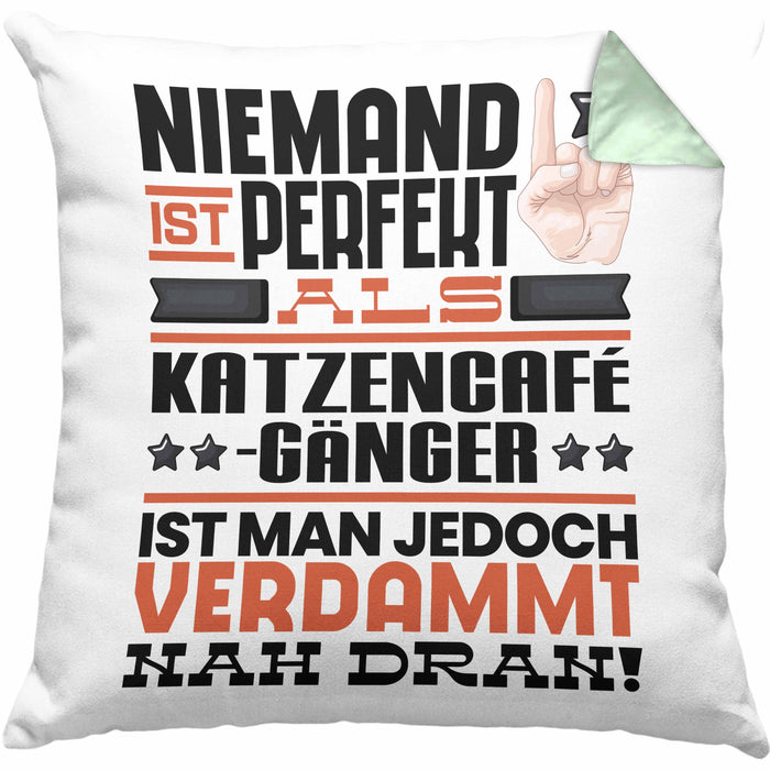 Katzencafégänger Geschenk Kissen mit Füllung 40x40 Lustige Geschenkidee für Katzencafégänger Geburtstag Niemand Ist Perfekt Aber Als Katzencafégänger Ist Man Nah Dran (Grau) Grün Trendation