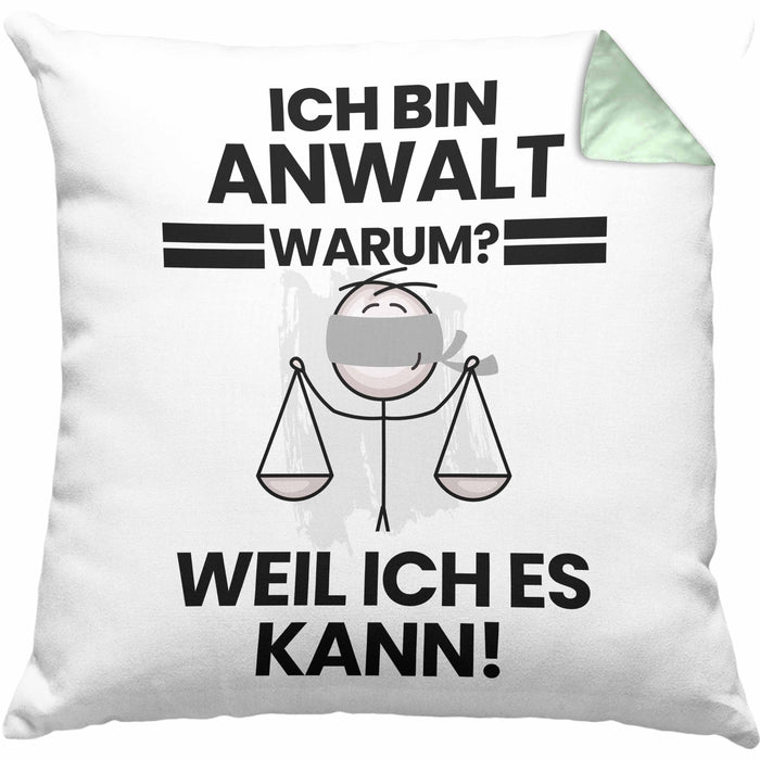 Anwalt Geschenk Kissen mit Füllung 40x40 Lustiger Spruch Ich Bin Anwalt Warum Weil Ich Es Kann Geschenkidee Bester Anwalt Geburtstag (Grau) Grün Trendation