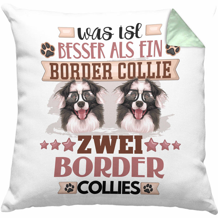 Border Collies Besitzer Kissen mit Füllung 40x40 Geschenk Lustiger Spruch Geschenkidee Was Ist Besser Als Ein Border Collies (Grau) Grün Trendation