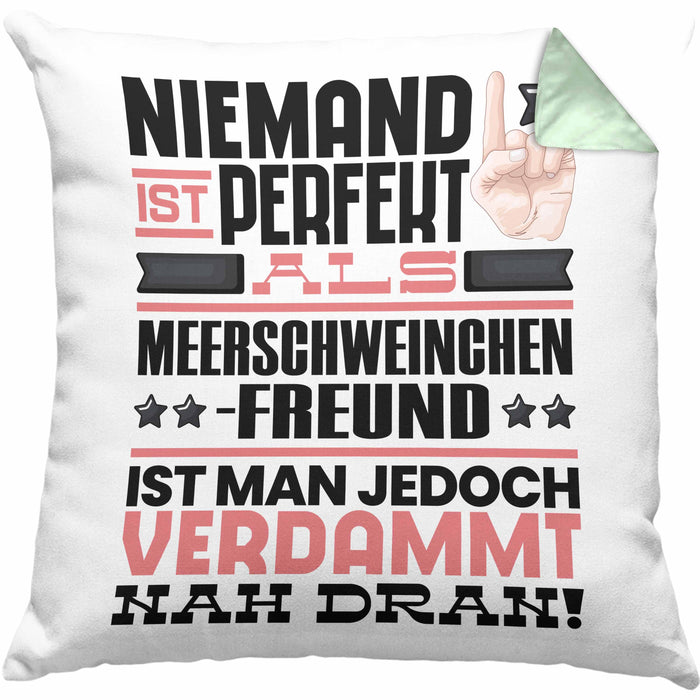 Meerschweinchenfreund Geschenk Kissen mit Füllung 40x40 Lustige Geschenkidee für Meerschweinchenfreund Geburtstag Niemand Ist Perfekt Aber Als Meerschweinchenfreund Ist Man Nah Dran (Grau) Grün Trendation