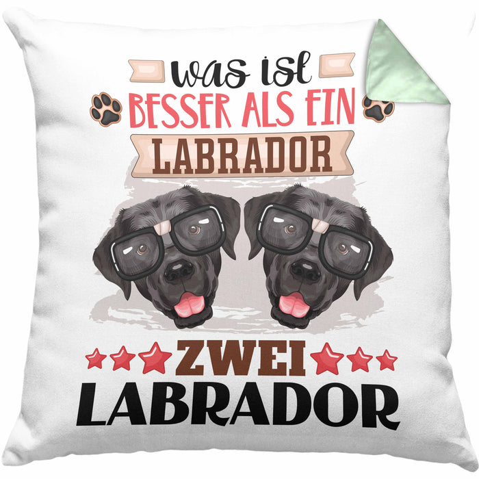 Labrador Besitzer Kissen mit Füllung 40x40 Geschenk Lustiger Spruch Geschenkidee Was Ist Besser Als Ein Labrador (Grau) Grün Trendation