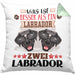 Labrador Besitzer Kissen mit Füllung 40x40 Geschenk Lustiger Spruch Geschenkidee Was Ist Besser Als Ein Labrador (Grau) Grün Trendation