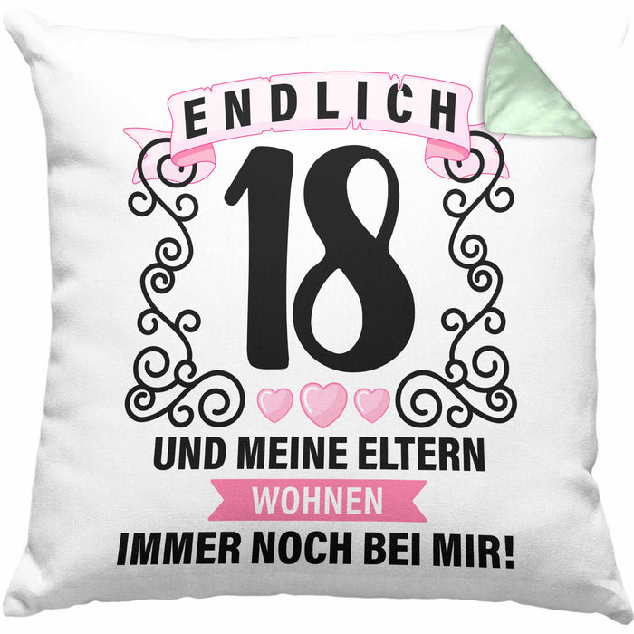 18er Geburtstag Kissen mit Füllung 40x40 Geschenk Mädchen Jungen Geschenkidee Lustig Spruch 18 Geschenke Geschenkideen zum 18 Bday 18. (Grau) Grün Trendation