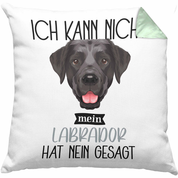 Labrador Besitzer Kissen mit Füllung 40x40 Geschenk Lustiger Spruch Geschenkidee Ich Kann Nicht Mein Labrador Hat Nein Gesagt (Grau) Grün Trendation