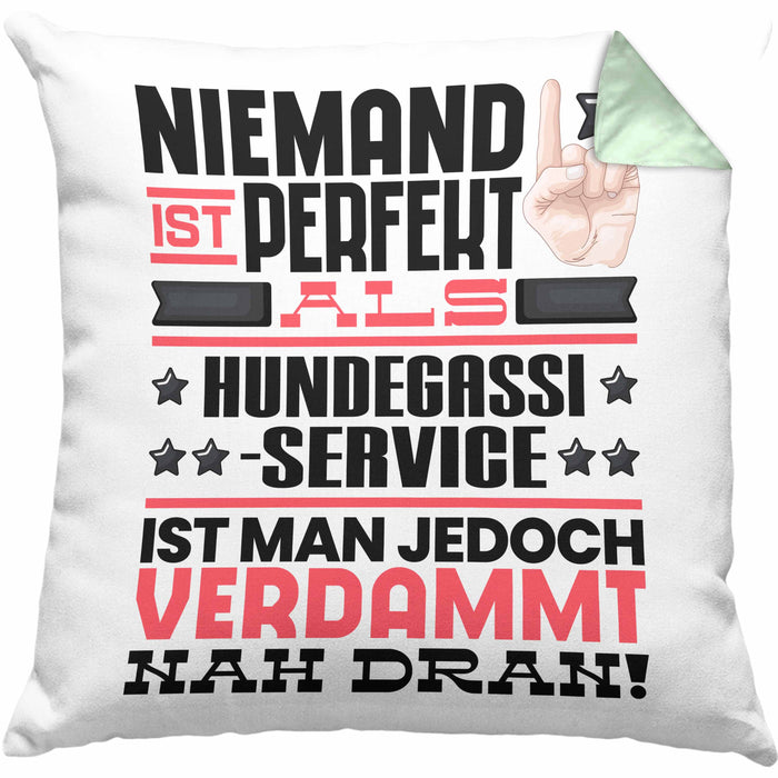 Hundegassi-Service Geschenk Kissen mit Füllung 40x40 Lustige Geschenkidee für Hundegassi-Service Geburtstag Niemand Ist Perfekt Aber Als Hundegassi-Service Ist Man Nah Dran (Grau) Grün Trendation