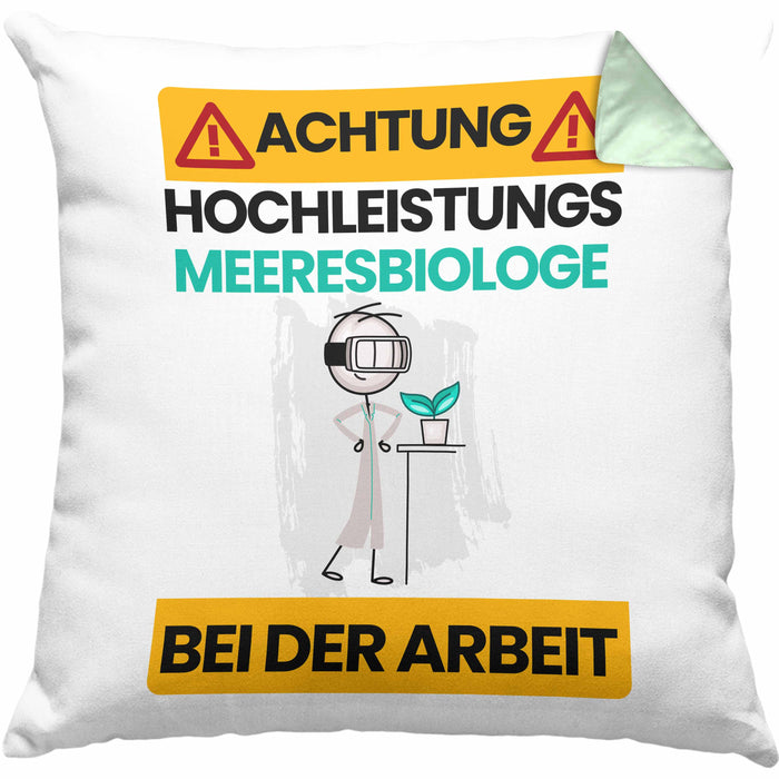 Meeresbiologe Kissen mit Füllung 40x40 Geschenk Lustiger Spruch Geschenkidee für Meeresbiologe Achtung Hochleistungs Meeresbiologe Bei Der Arbeit (Grau) Grün Trendation
