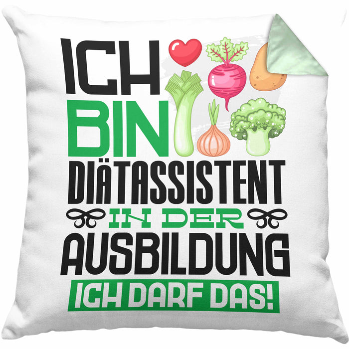 Diätassistent Ausbildung Kissen mit Füllung 40x40 Geschenk Ich Bin Diätassistent In Der Ausbildung Ich Darf Das Geschenkidee Spruch (Grau) Grün Trendation