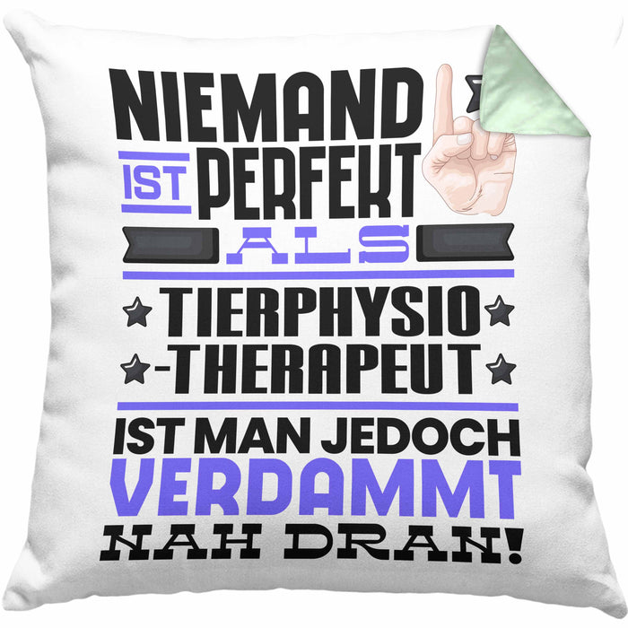 Tierphysiotherapeut Geschenk Kissen mit Füllung 40x40 Lustige Geschenkidee für Tierphysiotherapeut Geburtstag Niemand Ist Perfekt Aber Als Tierphysiotherapeut Ist Man Nah Dran (Grau) Grün Trendation