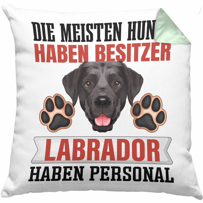 Labrador Besitzer Kissen mit Füllung 40x40 Geschenk Lustiger Spruch Geschenkidee Besitzerin Labrador Haben Personal (Grau) Grün Trendation
