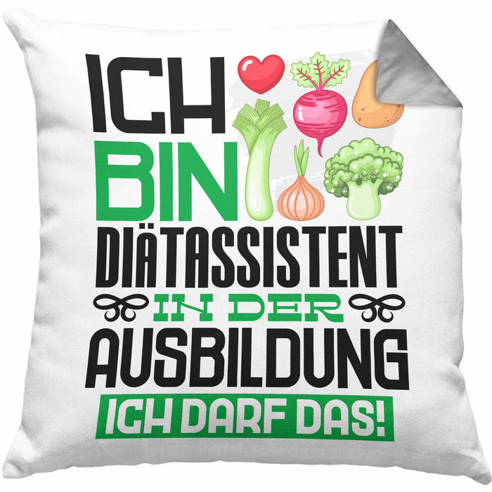Diätassistent Ausbildung Kissen mit Füllung 40x40 Geschenk Ich Bin Diätassistent In Der Ausbildung Ich Darf Das Geschenkidee Spruch (Grau) Grau Trendation