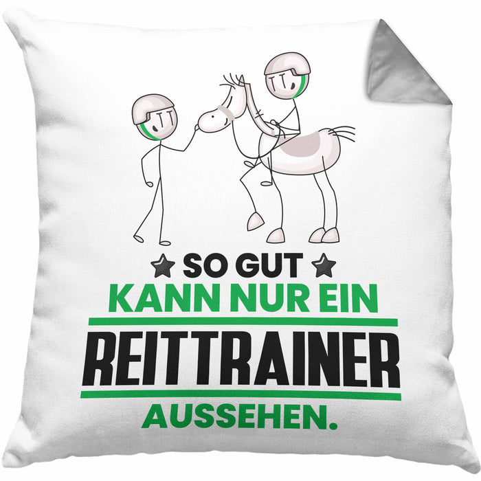 Reittrainer Geschenk Kissen mit Füllung 40x40 So Gut Kann Nur Ein Reittrainer Aussehen Geschenkidee (Grau) Grau Trendation