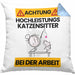 Katzensitter Kissen mit Füllung 40x40 Geschenk Lustiger Spruch Geschenkidee für Katzensitter Achtung Hochleistungs Katzensitter Bei Der Arbeit (Grau) Blau Trendation