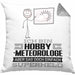 Hobbymeteorologe Geschenk Kissen mit Füllung 40x40 Ich Bin Hobbymeteorologe Aber Sag Doch Einfach Superheld Lustige Geschenkdiee für Hobbymeteorologe (Grau) Grau Trendation