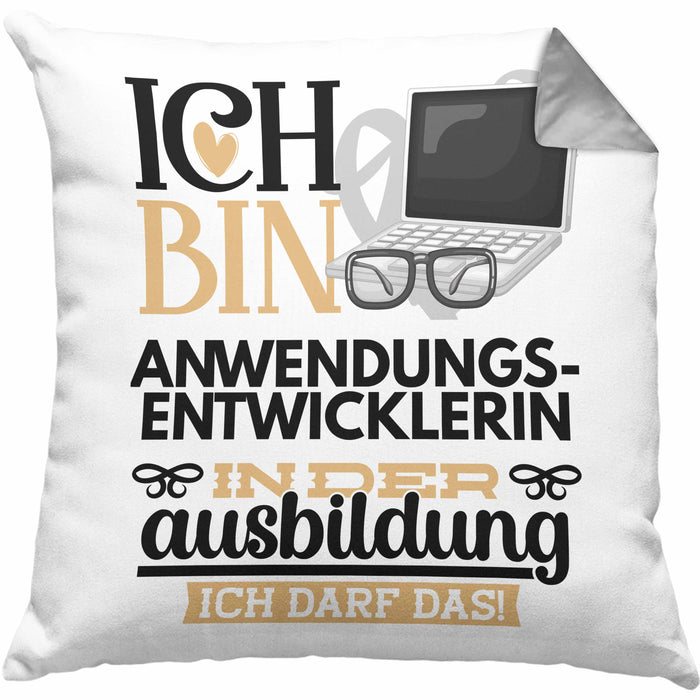 Anwendungsentwicklerin Ausbildung Start Geschenk Kissen mit Füllung 40x40 Ich Bin Anwendungsentwicklerin In Der Ausbildung Ich Darf Das Geschenkidee (Grau) Grau Trendation