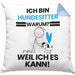 Hundesitter Geschenk Kissen mit Füllung 40x40 Lustiger Spruch Ich Bin Hundesitter Warum Weil Ich Es Kann Geschenkidee Bester Hundesitter Geburtstag (Grau) Blau Trendation