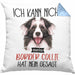 Border Collies Besitzer Kissen mit Füllung 40x40 Geschenk Lustiger Spruch Geschenkidee Ich Kann Nicht Mein Border Collies Hat Nein Gesagt (Grau) Blau Trendation