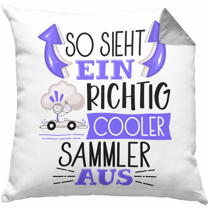 So Sieht Ein Richtig Cooler Sammler Aus Geschenk Kissen mit Füllung 40x40 Lustiger Spruch Geschenkidee (Grau) Grau Trendation