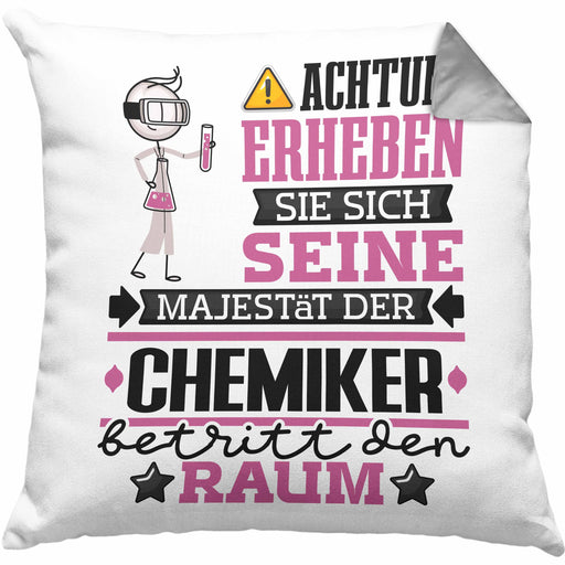 Chemiker Geschenk Kissen mit Füllung 40x40 Lustiger Spruch Erheben Sie Sich Der Chemiker Betritt den Raum (Grau) Grau Trendation