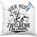 Reiterin Kissen mit Füllung 40x40 Spruch Geschenk Pferde-Liebhaberin Geschenkidee Mädchen Vier Hufe Zwei Beine Ein Team (Grau) Blau Trendation