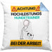 Hundetrainer Kissen mit Füllung 40x40 Geschenk Lustiger Spruch Geschenkidee für Hundetrainer Achtung Hochleistungs Hundetrainer Bei Der Arbeit (Grau) Blau Trendation