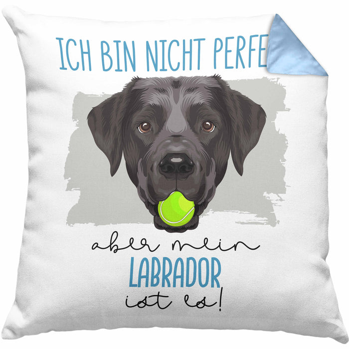 Labrador Besitzer Kissen mit Füllung 40x40 Geschenk Lustiger Spruch Geschenkidee Besitzerin Ich Bin Nicht toll Aber Mein Labrador Ist Es (Grau) Blau Trendation