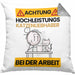 Katzenliebhaber Kissen mit Füllung 40x40 Geschenk Lustiger Spruch Geschenkidee für Katzenliebhaber Achtung Hochleistungs Katzenliebhaber Bei Der Arbeit (Grau) Grau Trendation