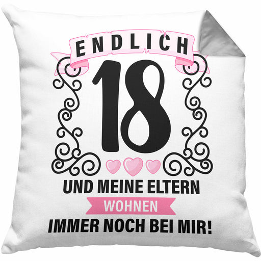 18er Geburtstag Kissen mit Füllung 40x40 Geschenk Mädchen Jungen Geschenkidee Lustig Spruch 18 Geschenke Geschenkideen zum 18 Bday 18. (Grau) Grau Trendation