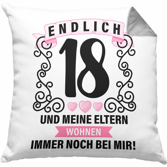 18er Geburtstag Kissen mit Füllung 40x40 Geschenk Mädchen Jungen Geschenkidee Lustig Spruch 18 Geschenke Geschenkideen zum 18 Bday 18. (Grau) Grau Trendation