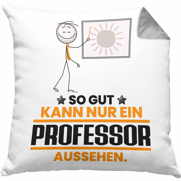 Professor Geschenk Kissen mit Füllung 40x40 So Gut Kann Nur Ein Professor Aussehen Geschenkidee (Grau) Grau Trendation