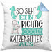 Katzensitter Kissen mit Füllung 40x40 So Sieht Ein Richtig Cooler Katzensitter Aus Geschenk Lustiger Spruch Geschenkidee (Grau) Blau Trendation