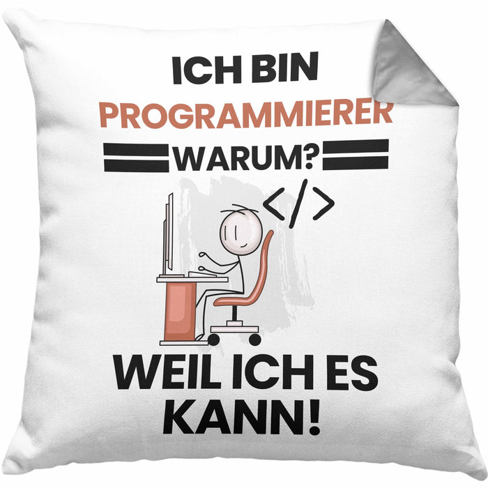Programmierer Geschenk Kissen mit Füllung 40x40 Lustiger Spruch Ich Bin Programmierer Warum Weil Ich Es Kann Geschenkidee Bester Programmierer Geburtstag (Grau) Grau Trendation