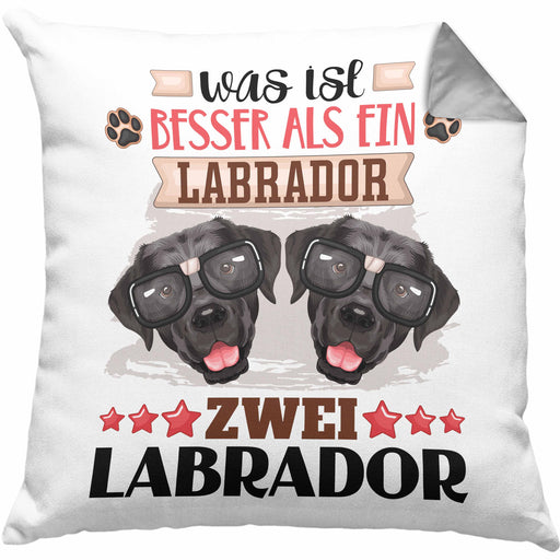 Labrador Besitzer Kissen mit Füllung 40x40 Geschenk Lustiger Spruch Geschenkidee Was Ist Besser Als Ein Labrador (Grau) Grau Trendation