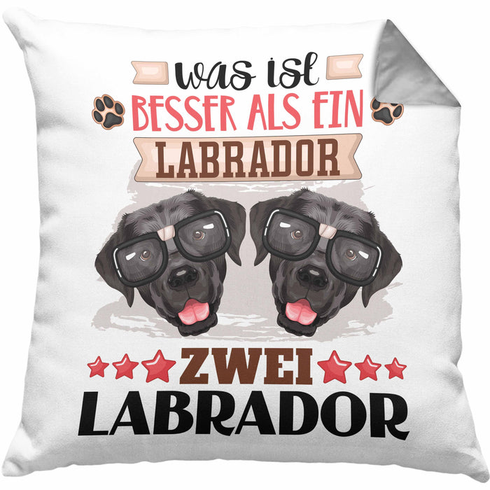 Labrador Besitzer Kissen mit Füllung 40x40 Geschenk Lustiger Spruch Geschenkidee Was Ist Besser Als Ein Labrador (Grau) Grau Trendation