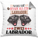 Labrador Besitzer Kissen mit Füllung 40x40 Geschenk Lustiger Spruch Geschenkidee Was Ist Besser Als Ein Labrador (Grau) Grau Trendation