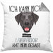 Labrador Besitzer Kissen mit Füllung 40x40 Geschenk Lustiger Spruch Geschenkidee Ich Kann Nicht Mein Labrador Hat Nein Gesagt (Grau) Grau Trendation
