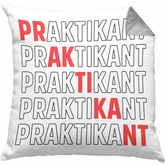 Praktikant Kissen mit Füllung 40x40 Geschenk Lustiger Spruch (Grau) Grau Trendation