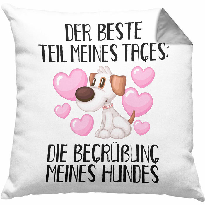Hundebesitzer Kissen mit Füllung 40x40 Geschenk Bester Teil Des Tages Die Begrüßung Meines Hundes Geschenkidee Hunde Mama Frauchen Herrchen (Grau) Grau Trendation
