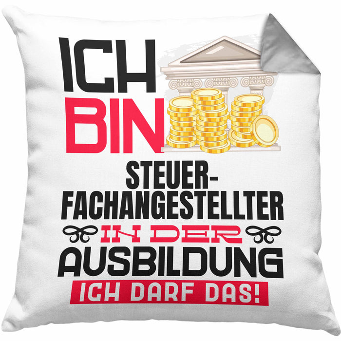 Steuerfachangestellter Ausbildung Kissen mit Füllung 40x40 Geschenk Ich Bin Steuerfachangestellter In Der Ausbildung Ich Darf Das Geschenkidee Spruch (Grau) Grau Trendation